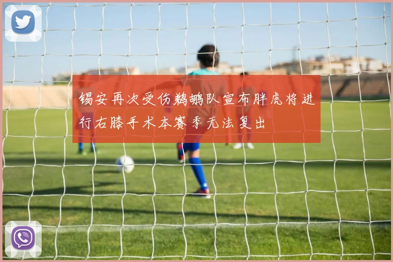 锡安再次受伤鹈鹕队宣布胖虎将进行右膝手术本赛季无法复出