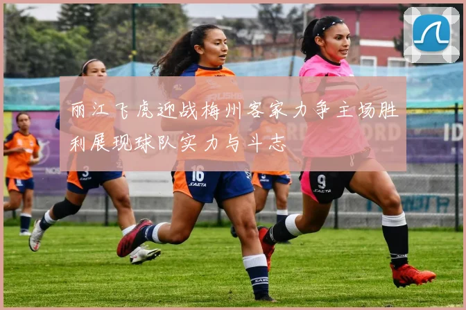 丽江飞虎迎战梅州客家力争主场胜利展现球队实力与斗志